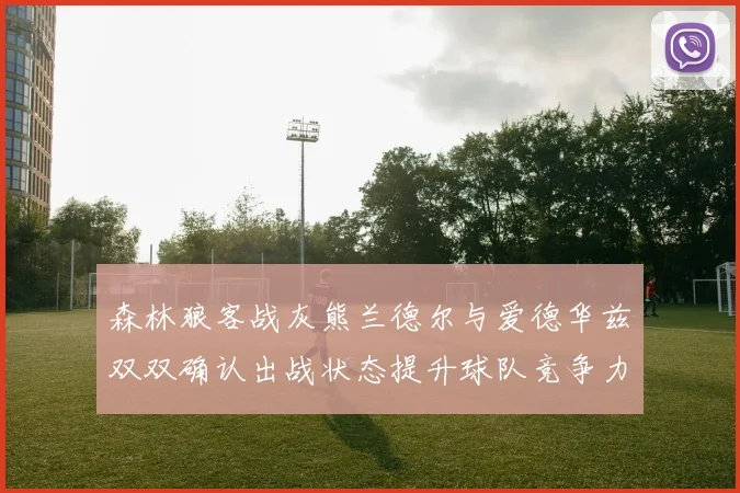 森林狼客战灰熊兰德尔与爱德华兹双双确认出战状态提升球队竞争力