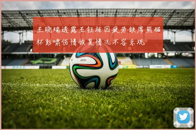 王晓瑞透露王钰栋因疲劳缺席熊猫杯彭啸伤情恢复情况不容乐观